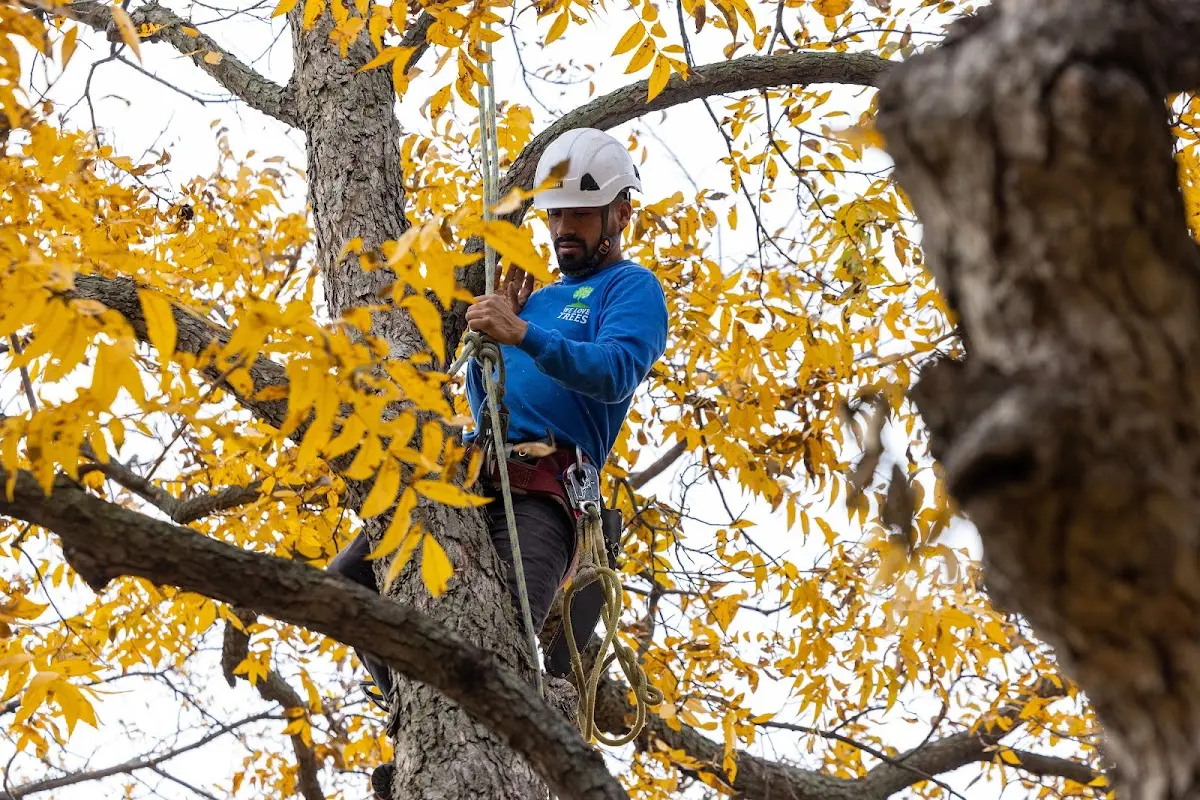 Skilled Storm Damage Cleanup crew working in Muskegon
