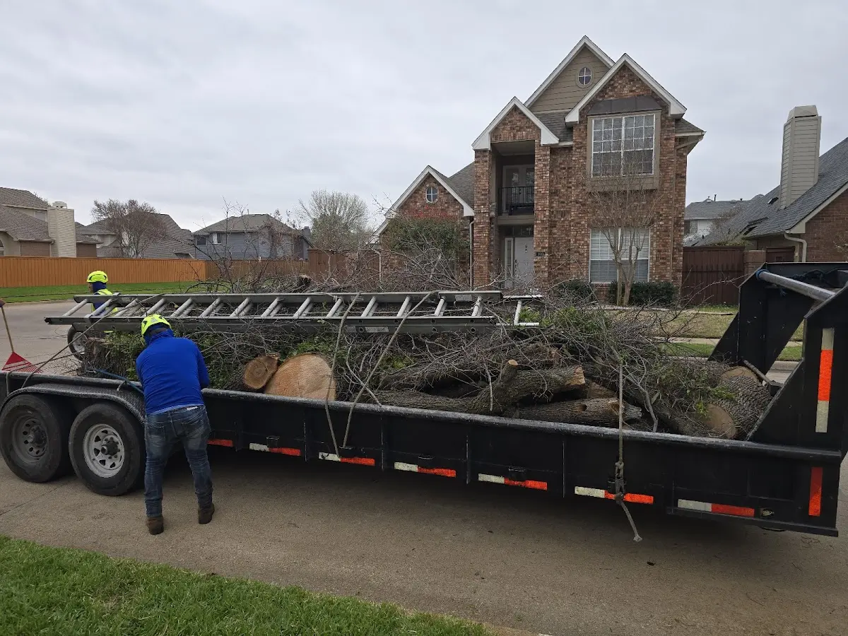 Expert Tree Removal with proper safety equipment in Muskegon